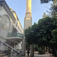 YAŞAM