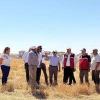 TARIM
