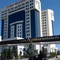 GÜNCEL