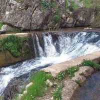 KÜLTÜR-SANAT
