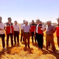 TARIM