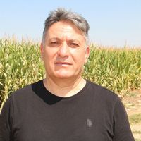 TARIM