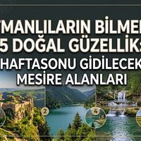 YAŞAM