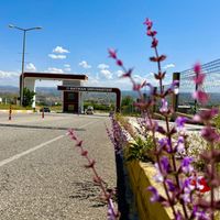 EĞİTİM