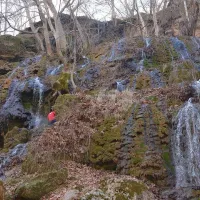 KÜLTÜR-SANAT