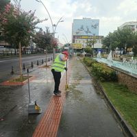 YEREL