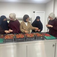 EKONOMİ