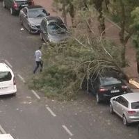 GÜNDEM