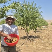 TARIM