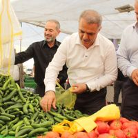 SİYASET