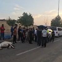 ASAYİŞ