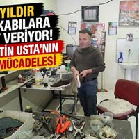 YAŞAM