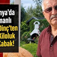 YAŞAM