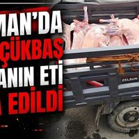 GÜNDEM