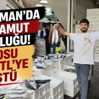 EKONOMİ