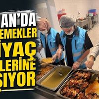YAŞAM