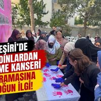 İLÇELER