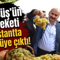 KÜLTÜR-SANAT