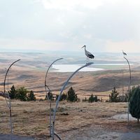 YAŞAM