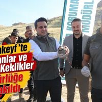 İLÇELER