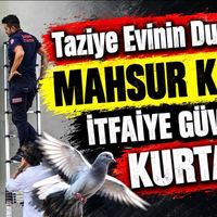 YAŞAM