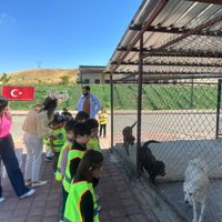 GÜNCEL