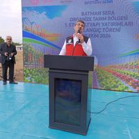 SİYASET