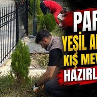 YEREL
