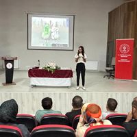 İLÇELER
