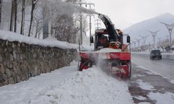 Bitlis'te kapanan 250 köy yolu ulaşıma açıldı