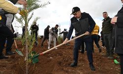 “Hepimiz bir fidanı alıp toprakla buluşturup suluyalım”