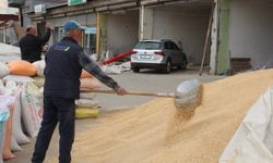 Hububatçılar sezonu bekliyor, gözler taban fiyatında