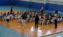 Beşiri'de Minik Ustalar Satrançta Yarıştı!