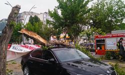 Şiddetli fırtınada ağaçlar devrildi. Park halindeki araç hasar gördü