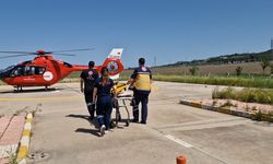 Ağaçtan düşen yaralı, ambulans helikopterle sevk edildi
