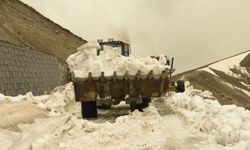 Bitlis'te karla mücadele bitti; 25 milyon TL harcandı
