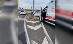 Mardin’de trafik kazası: 3 yaralı