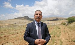 Anız yakmakla sadece toprağı değil, geleceğimizi de yakıyoruz