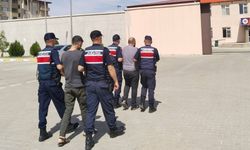 Göçmen kaçakçılığı; 4 tutuklama