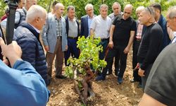 Batman’da Üzüm Yetiştiricilerine Modern Bağcılık Eğitimi