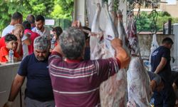 Kurban Bayramı yaklaşırken 'salmonella bakterisi'ne dikkat