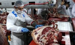'Kurban eti'ni sebzeyle tüketim önerisi