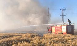 Mardin'de 155 dönüm ekili buğday yandı