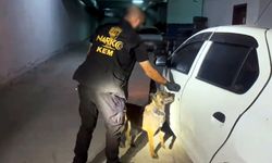 Otomobildeki uyuşturucuyu narkotik köpeği 'Gill' buldu