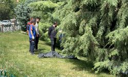 Çay’da erkek cesedi bulundu