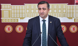 Ramanlı, tüp bebek için devlet maddi destek sağlasın