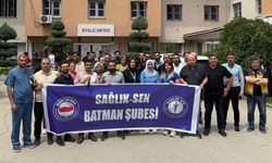 Batman Sağlık-Sen Şubesi; Ebe ve Hemşireler sağlık hizmetinin temel taşıdır