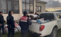 Van'da 3 ton 820 kilo inci kefali ele geçirildi