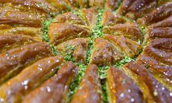 20 baklava numunesinin 5'inde bakteri çıktı