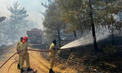 Bakan Yumaklı'dan devam eden orman yangınlarına ilişkin açıklama